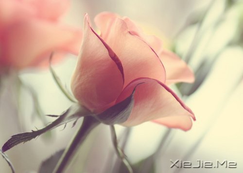 默然相爱,寂静喜欢 (3)