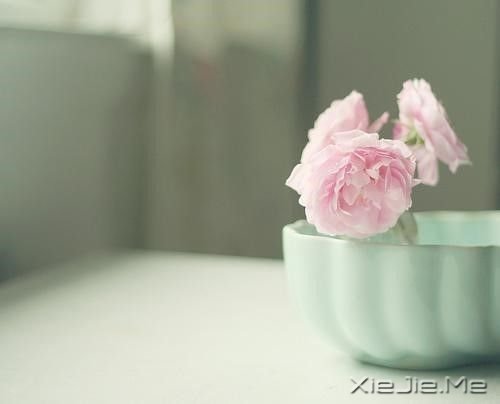 晚安心语:最好的幸福,是你给的在乎 (7)