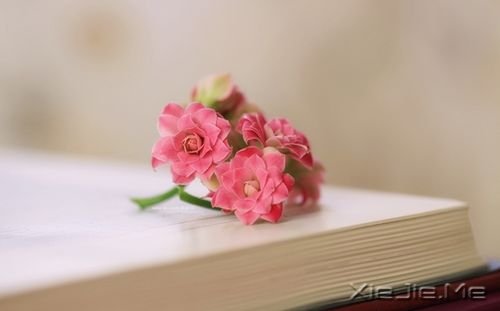 早安心语:人生是一场错过,愿你别蹉跎 (5)