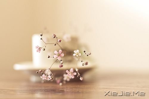早安心语:生活的理想,就是为了理想的生活 (10)
