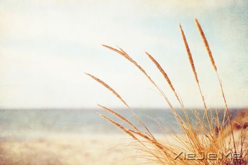 晚安心语:最美好的总会在不经意间出现 (3)