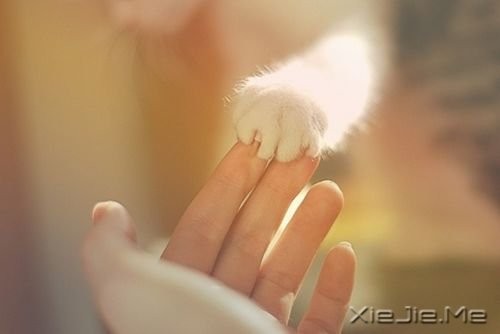 早安心语:看清自己比读懂他人,更重要 (5)
