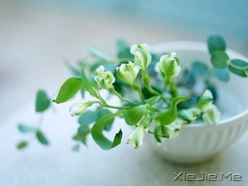 晚安心语:与其担心未来,不如现在好好努力 (2)