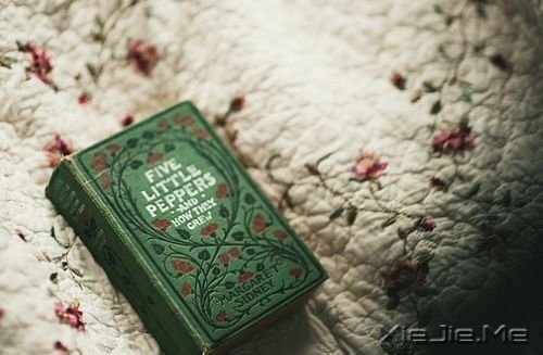 早安心语:像淑女一样处事,像爷们儿一样思考 (11)