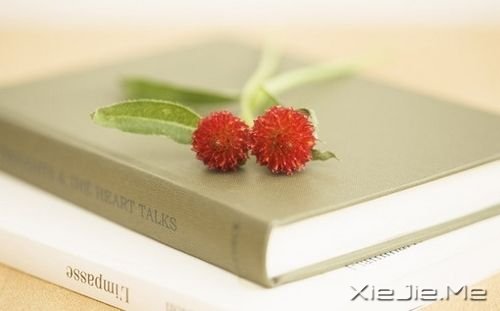 晚安心语:疼都是别人给的,但伤都是自己好的 (4)