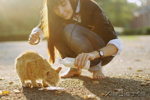 为什么你那么文艺,却还是没有爱人