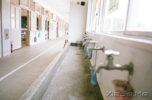 我的学霸同学