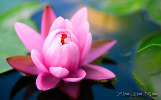 文字:要少做的十件事 (6)