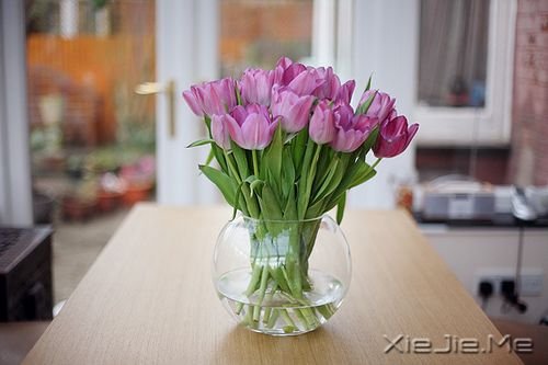 经典语录:20条经典人生感悟 (4)
