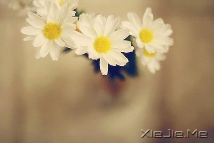 你受的苦将照亮你的路