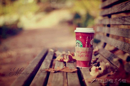 8ZDLl 8ZDLl